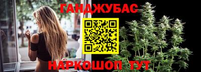 стаф Донской